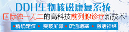 DDH生物核磁康复系统